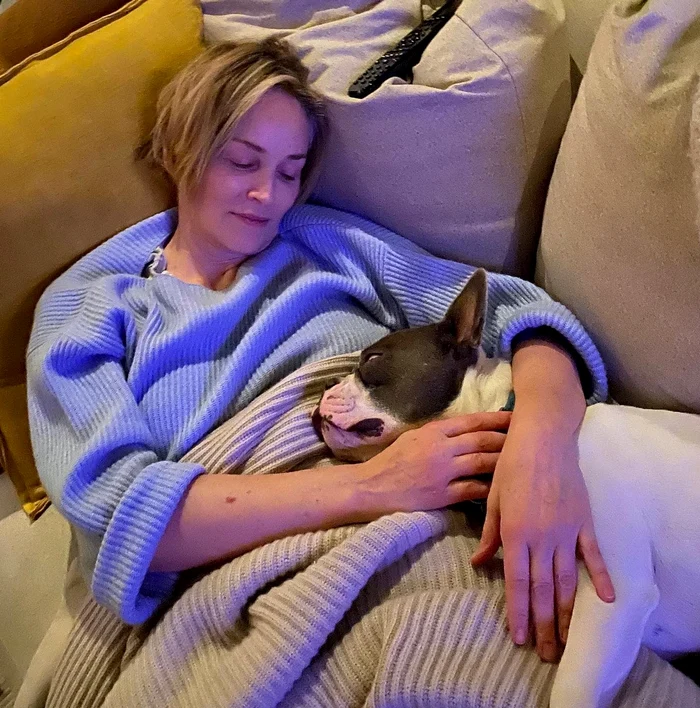Sharon Stone, 62 de ani, doarme cu Bandit, de doar doi anișori în fiecare noaptefoto: Instagram