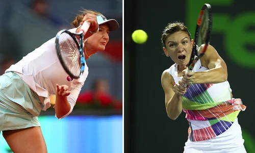 begu halep png