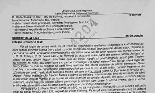 Elevii de clasa a VII a au avut ca subiecte rezumatul unui basm, precum și o compunere despre o activitate extrașcolară jpeg