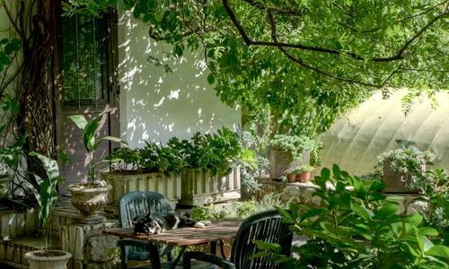 scaun de gradina