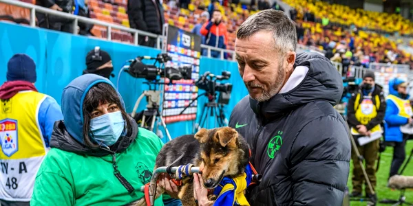 Mihai Stoica Arena Nationala caini Adapostul Speranta (2) jpeg