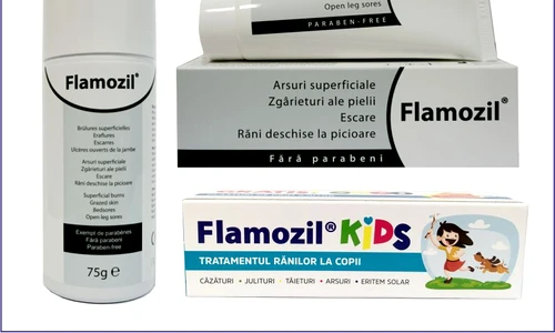 Flamozil sept jpg