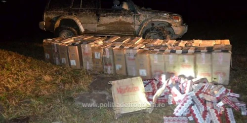 tigari de contrabanda suceava