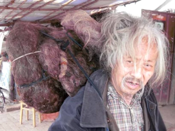 
    Peng Fu crede că părul său îl ajută în meseria de tămăduitor  