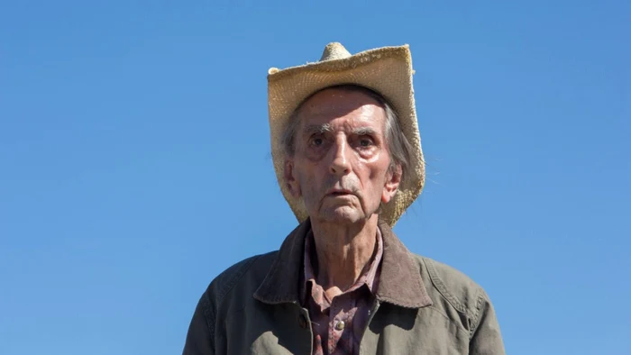 Harry Dean Stanton