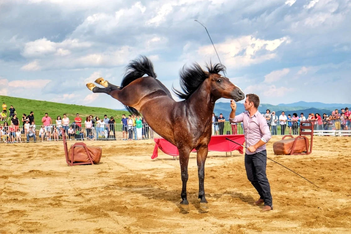 Haidook Summer Fest, sărbătoarea de la Brebu, Dâmboviţa Sursa Facebook HSF