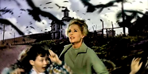 Scenă din filmul „Păsările“, de Alfred Hitchcock