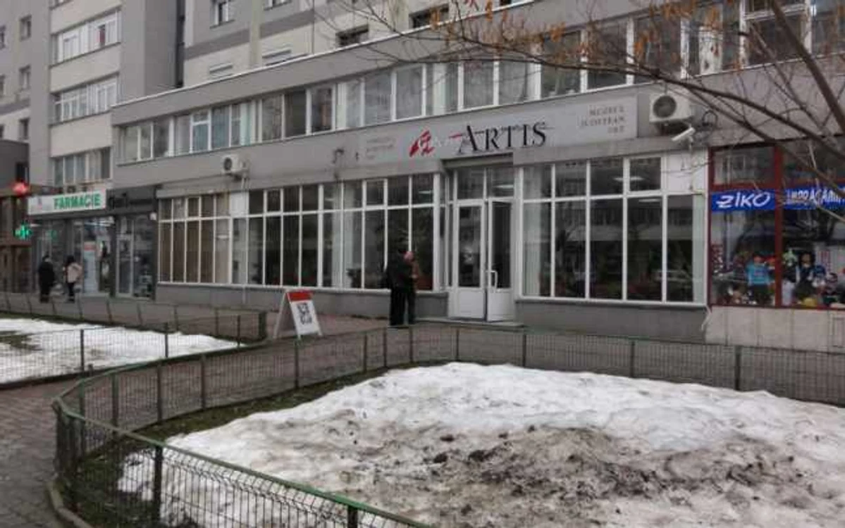 Expoziţia de caricatură va avea loc la galeria "Artis" din Slatina... (FOTO: Mugurel Manea)