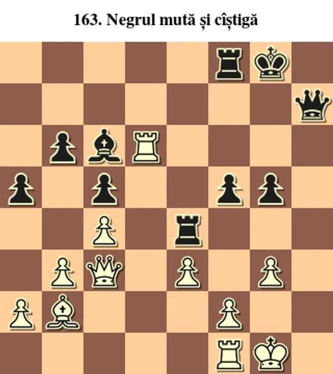 diagram163 1 jpg jpeg