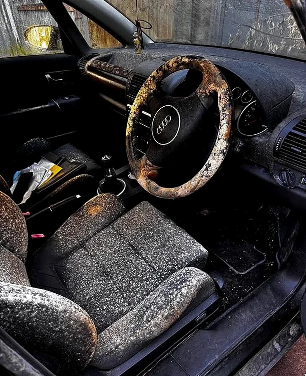 Interiorul mașinii, invadat ce mucegai / FOTO: Facebook