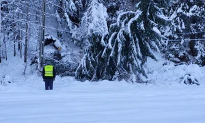 ZAPADA Lunca Bradului FOTO CFR SA jpeg