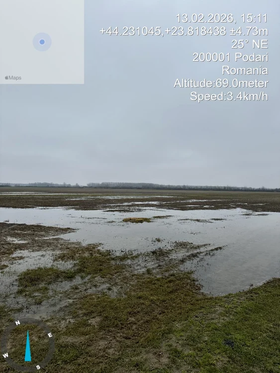 Apa în exces pune în pericol culturile Sursa FOTO: Daniela Dumitru