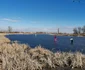 Lacul de lângă Timişoara a devenit patinoar natural FOTO Ş.Both