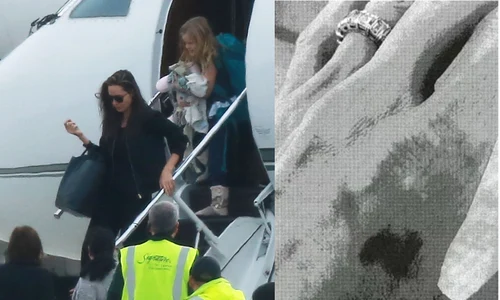 angelina jolie mana cu vanatai jpg