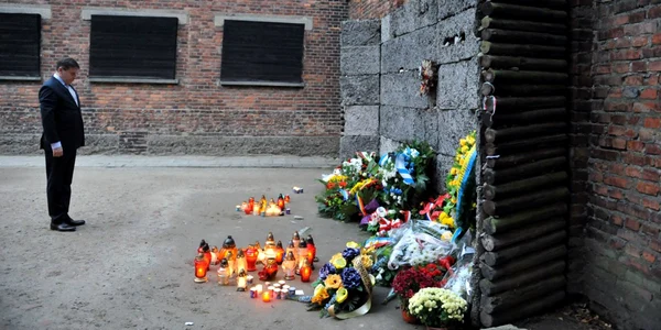 Vizită la lagărul de concentrare Auschwitz