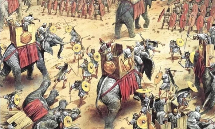 Elefanții de război și Armata Romană jpeg