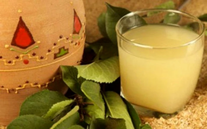 Ce nu ți-a spus nimeni despre borș.