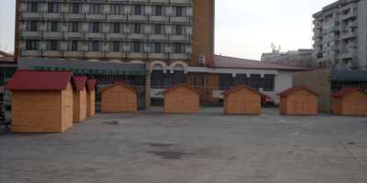 Căsuţele vor fi deschise zilele viitoare Foto: Ştefan Borcea