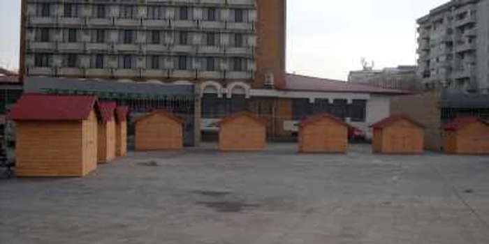 Căsuţele vor fi deschise zilele viitoare Foto: Ştefan Borcea