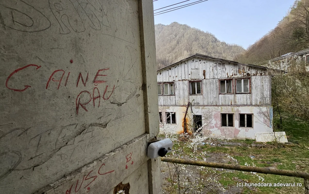 Colonia Brădățel. Foto: Daniel Guță. ADEVĂRUL