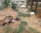 Animale ținute în cuști, în condiții necorespunzătoare FOTO: Facebook / Garda Națională de Mediu