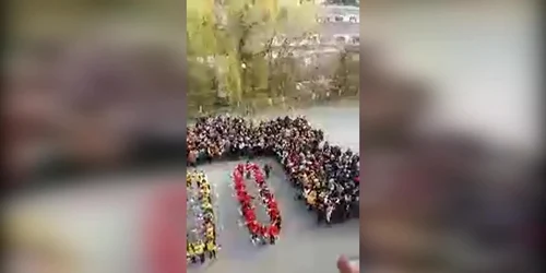 5bffca30df52022f75efadac jpg