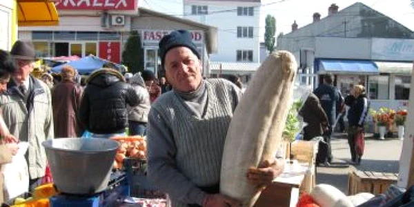 Craiova: Constantin Guia cultivă dovleci uriaşi