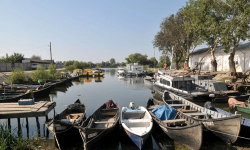 1 62132 original jpg jpeg