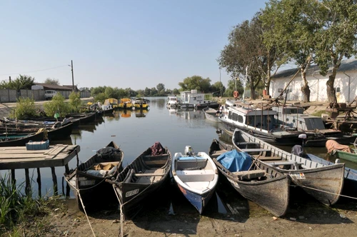 1 62132 original jpg jpeg