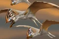 dracula jpeg