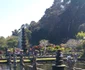 11885348 10207067743878195 5352387382400148570 n jpeg