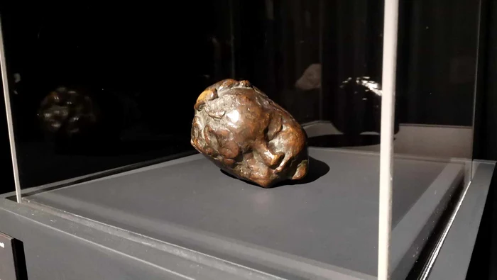 Expo Brâncuși la Timișoara FOTO Ștefan Both