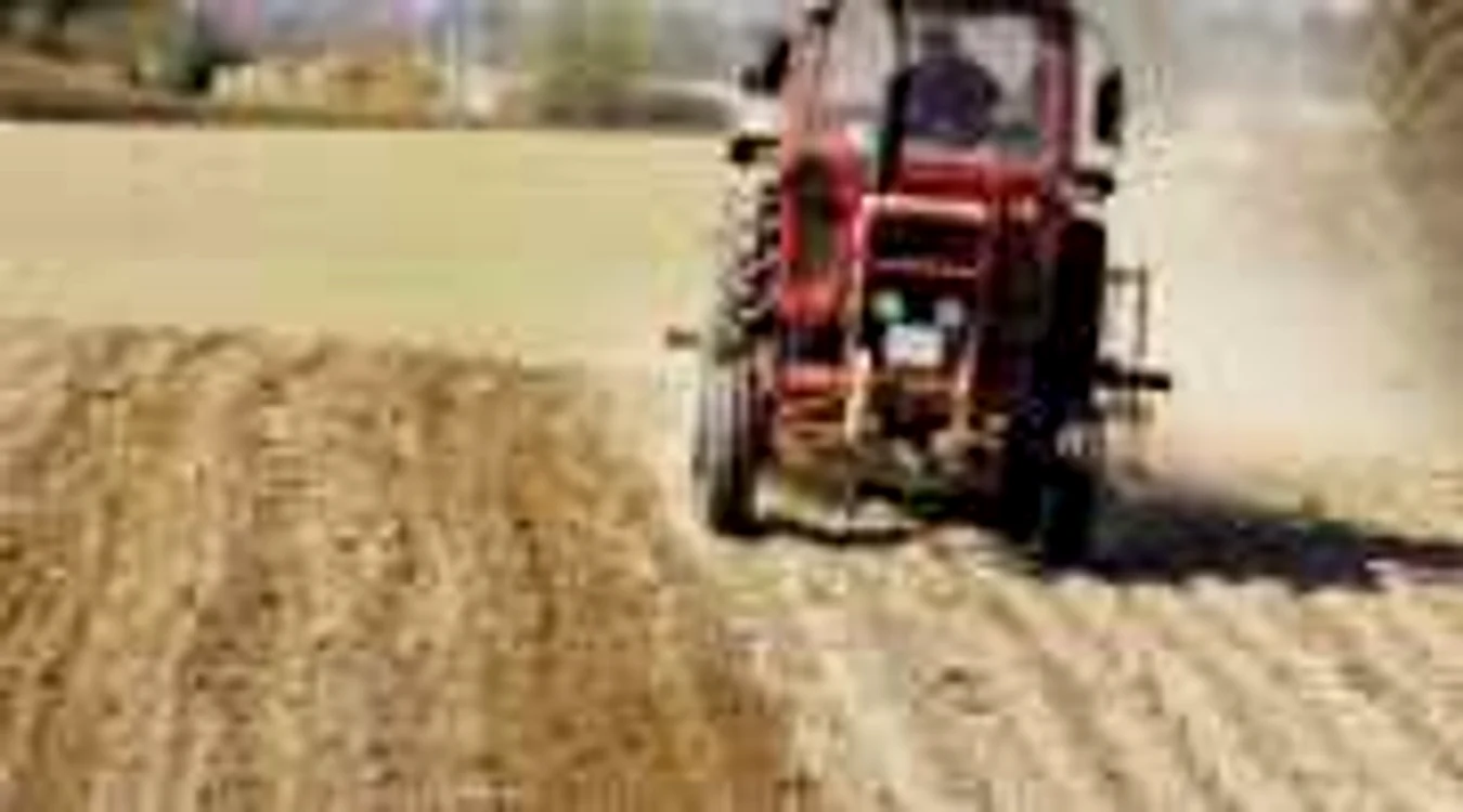 Terenurile agricole, magnet pentru străini
