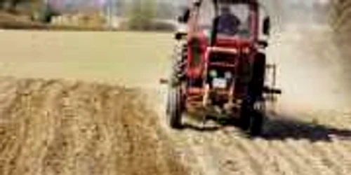 Terenurile agricole, magnet pentru străini