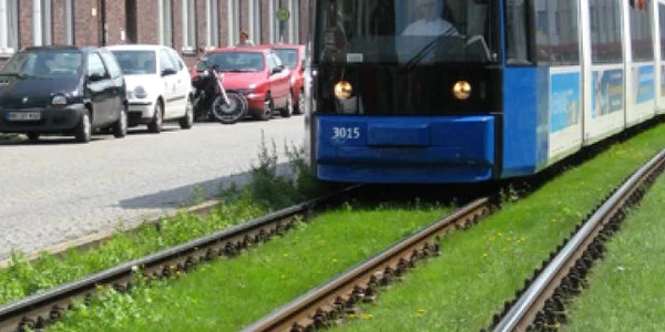 Şina de tramvai green track