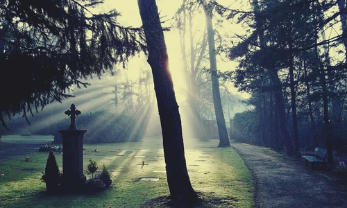 Ce scrie pe cele mai ciudate pietre funerare ale celebritatilor Sursa foto Pixabay jpg