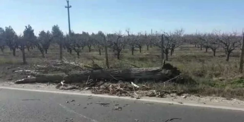 5e53eb9b5163ec4271664434 jpg