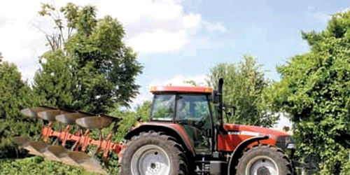 Resita: ORAŞUL PE SCURT / Afaceri agricole profitabile