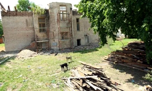 Reacții la demolarea de către clanurile ţigăneşti a celei mai frumoase vile istorice din Timişoara jpeg