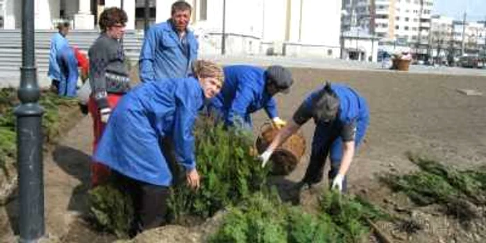 Pe spaţiu din jurul Catedralei vor fi plantate diverse specii de plante