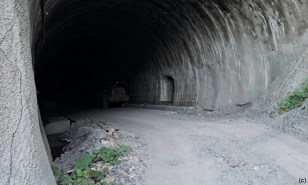 Tunelurile feroviare de pe Valea Mureșului Foto Daniel Guță ADEVĂRUL (1) jpg