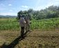 Cercetări arheologice non-invazive la castrul roman de la Arcobara (© Complexul Muzeal Bistrița-Năsăud)