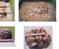 sarmizegetusa regia santiar