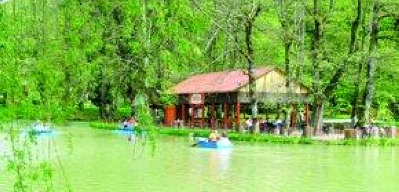 Arad: Week-end dedicat muntelui la Moneasa