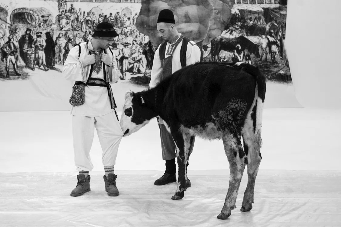 Animalul a început să îl tragă insistent de pantaloni (foto: Antena 1)