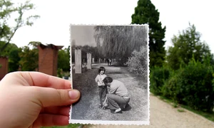 Strada unde am pupat o pe Mimi jpeg