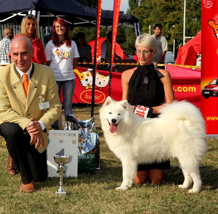 Frumosul câine Puppy, unul dintre câştigătorii expoziţiei din 2011