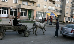 Amintiri din satul bucureştean jpeg