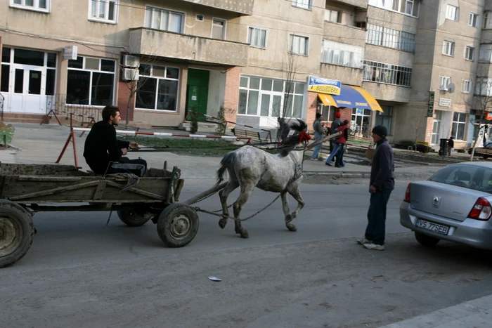 Amintiri din satul bucureştean jpeg
