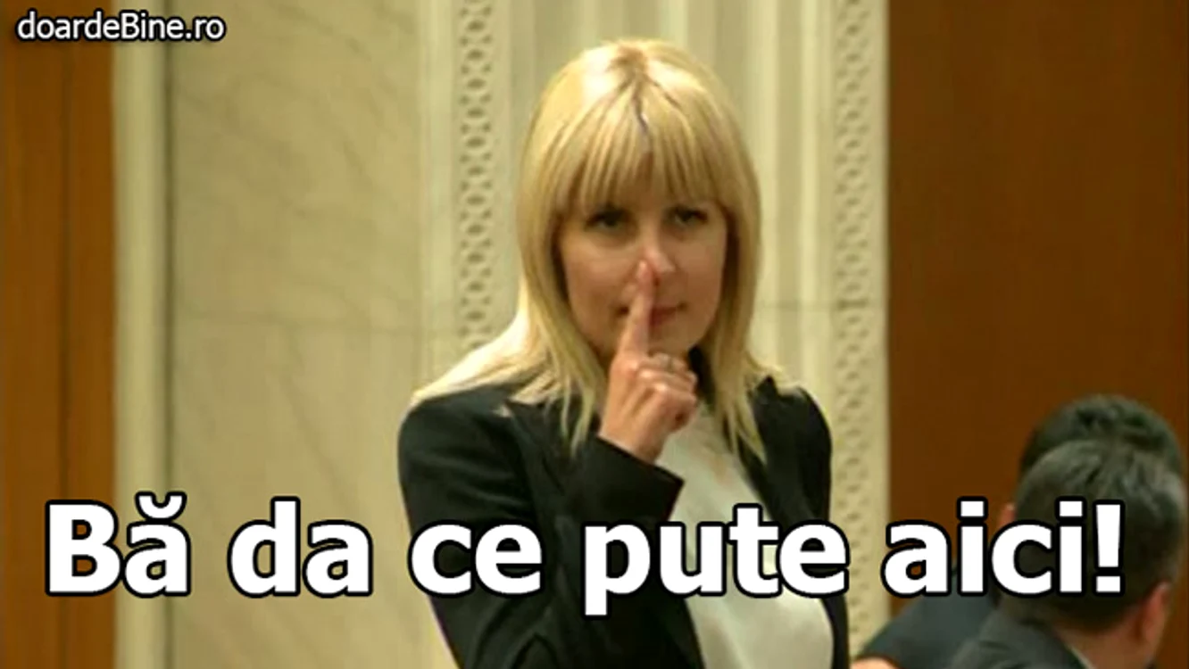 Asta e explicaţia gestului Elenei Udrea din Parlament